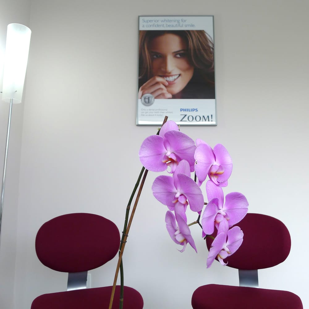 image of business May Dental