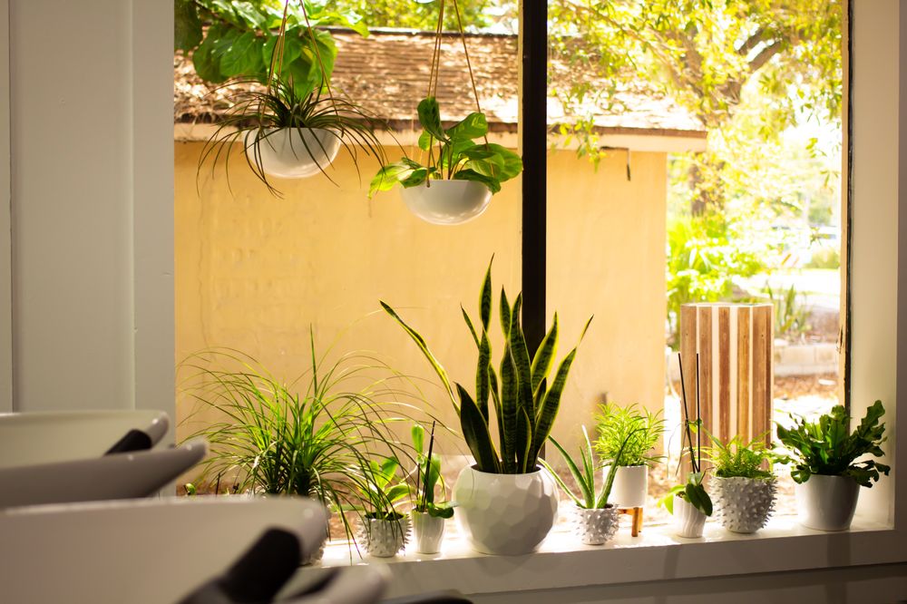 Collab Beauty House