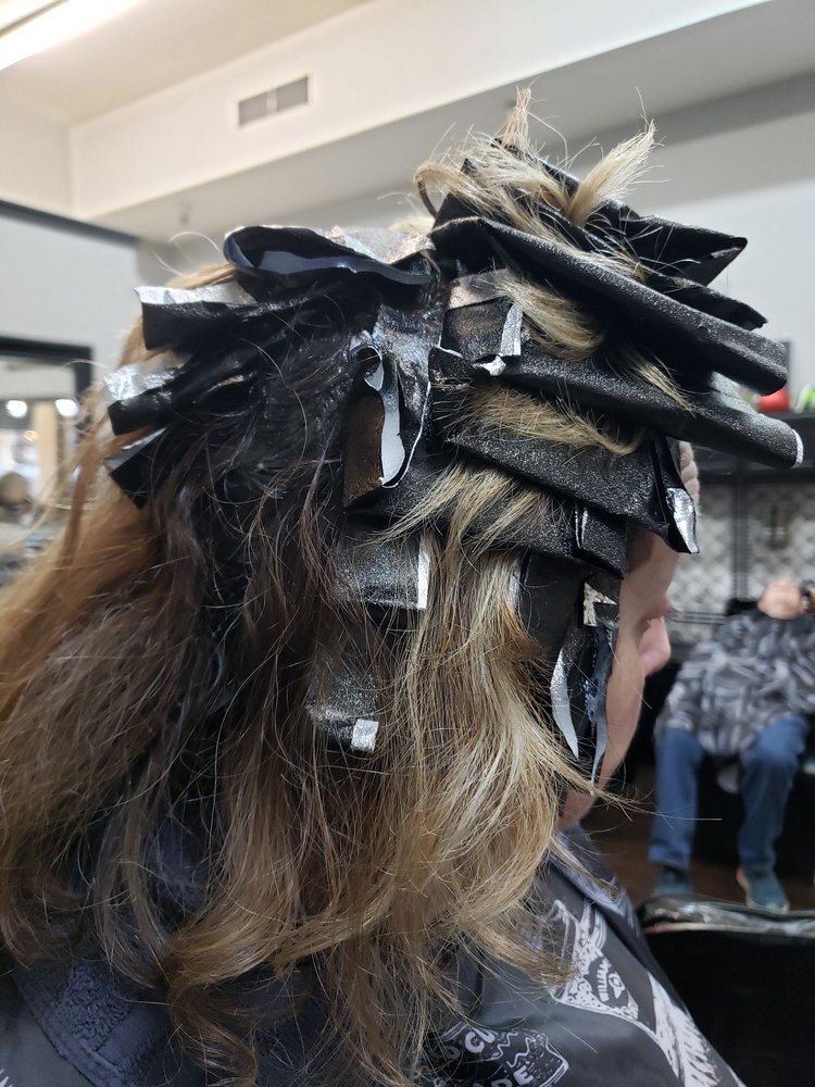 The Mane Gallery
