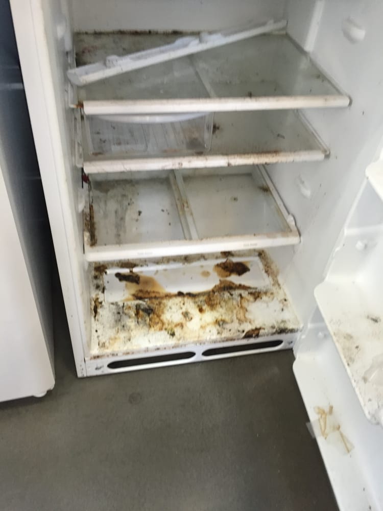 a quot customer return quot fridge for sale on the floor at lowe s a quot customer return quot fridge for sale on the floor at lowe s
