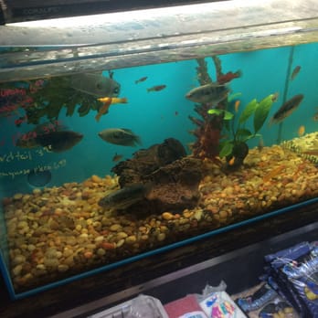new age aquatics closed