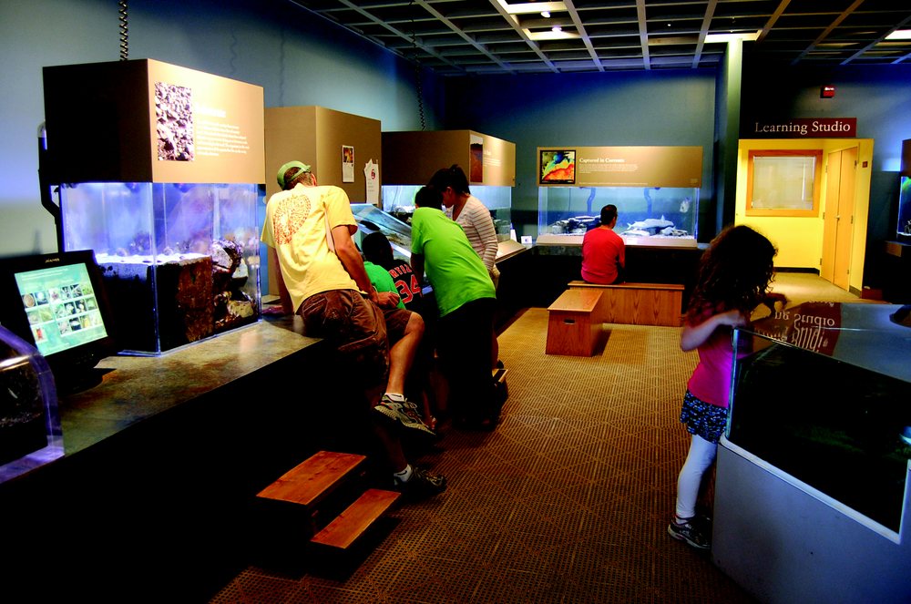 Seacoast Science Center 23 Photos & 18 Reviews Children's Museums