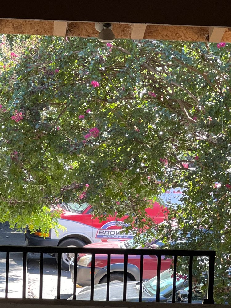 image of business Brown