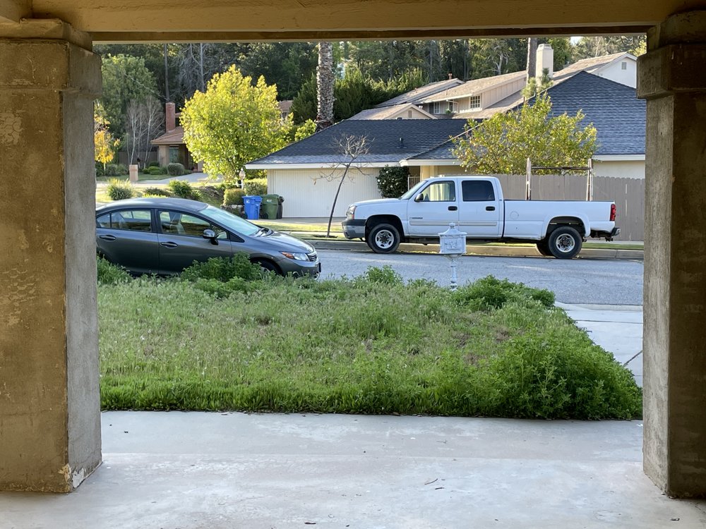 Landscaping Garden Cleaning Service Soto