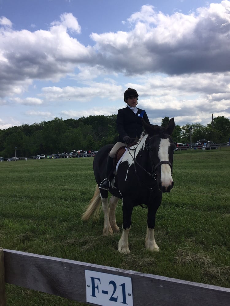 Potomac Hunt Races