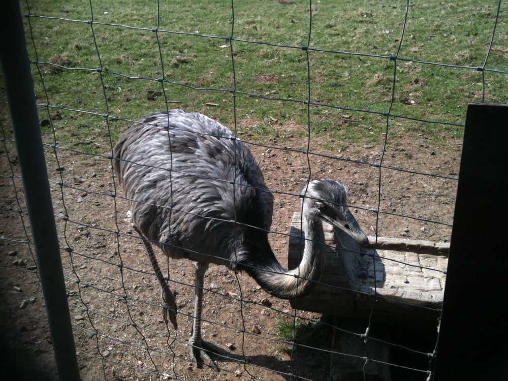 Find It Here Find It Here