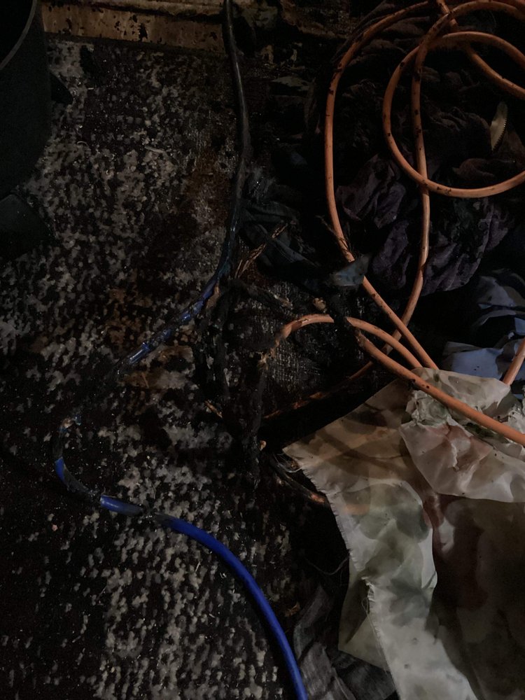 image of business Blessed Contracting