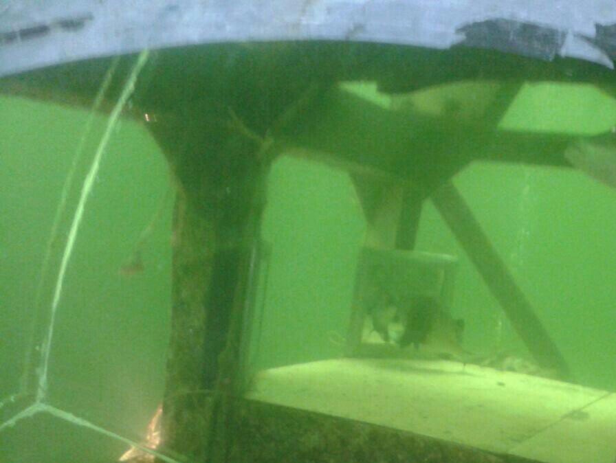 Jules Undersea Lodge 15 Photos Hotels 51 Shoreland Dr, Key Largo