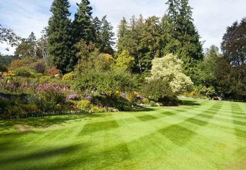 Lawn Guy Inc