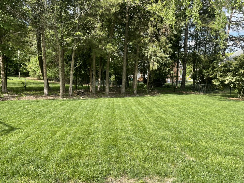 Green Thumbs Landscaping Services