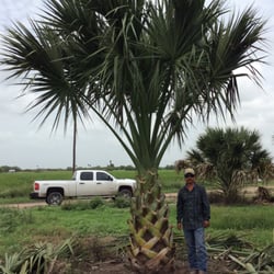 Tree Of Life Nursery San Benito Texas Thenurseries Simmons Oak Farms Whole Nursery Nurseries Gardening 21225 Tree Of Life Garden Center In San Juan