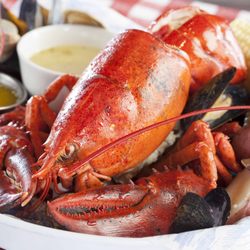 The Best 10 Seafood Restaurants In Phoenix Az With Prices Last King S Fish House Tempe