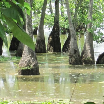 Mathews Brake National Wildlife Refuge Parks 11301 County Rd 249