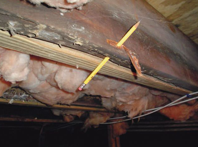 Photos For Bay Area Moisture Control Yelp Photo Of Bay Area Moisture Control Novato Ca United States