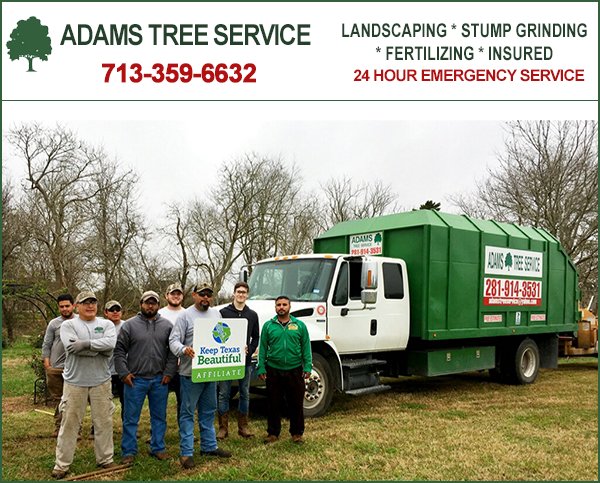 Adams Tree Service