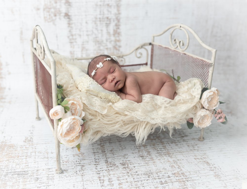 Andrea Friedman Photography