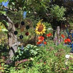 Spring Hill Nursery Gardens 16 Photos Nurseries Gardening Photo Of Spring Hill Nursery Gardens Mount Shasta Ca United States