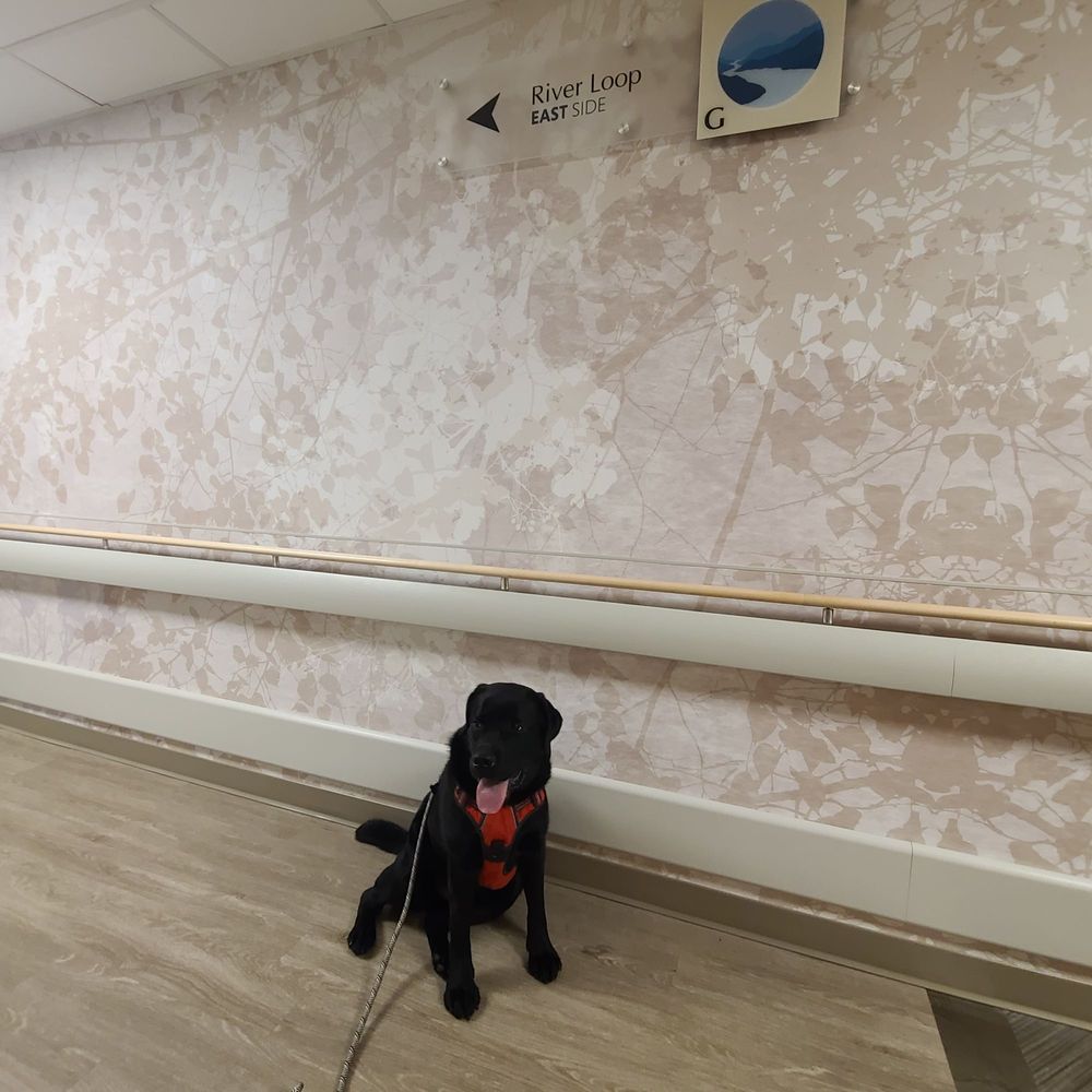 James H Quillen Va Medical Center