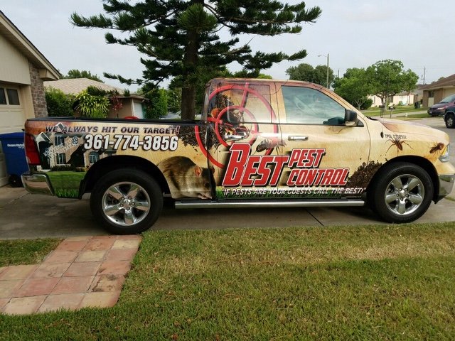 Best Pest Control
