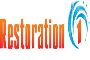 Restoration 1 of Asheville