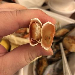 Restaurants In Rodanthe Yelp The Mad Crabber