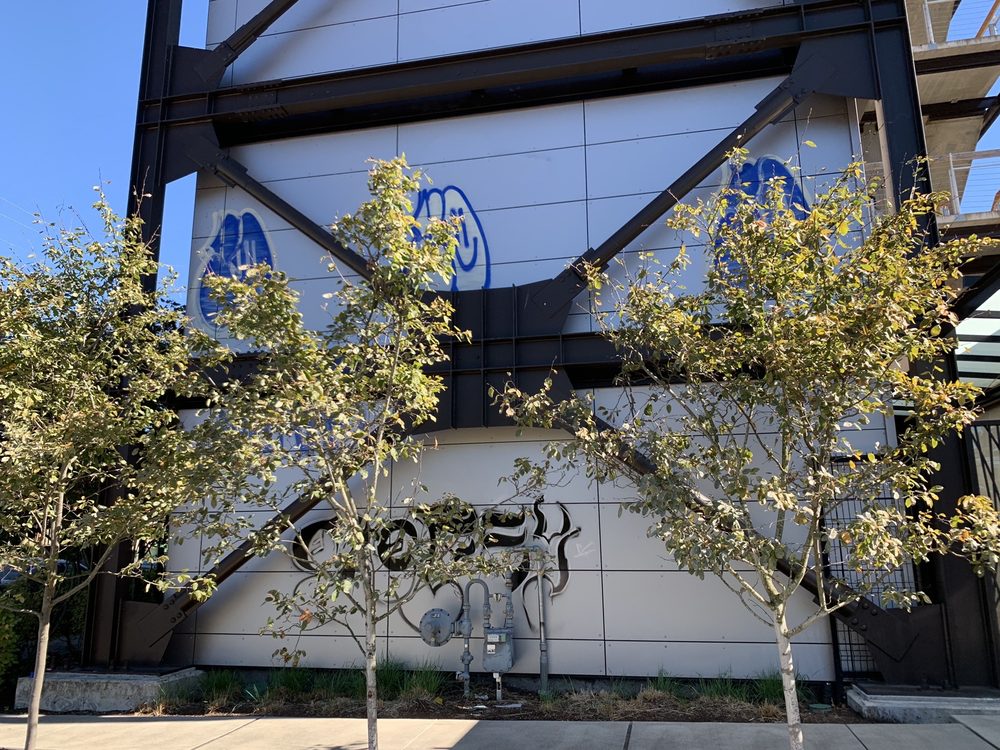 Metropolitan Management