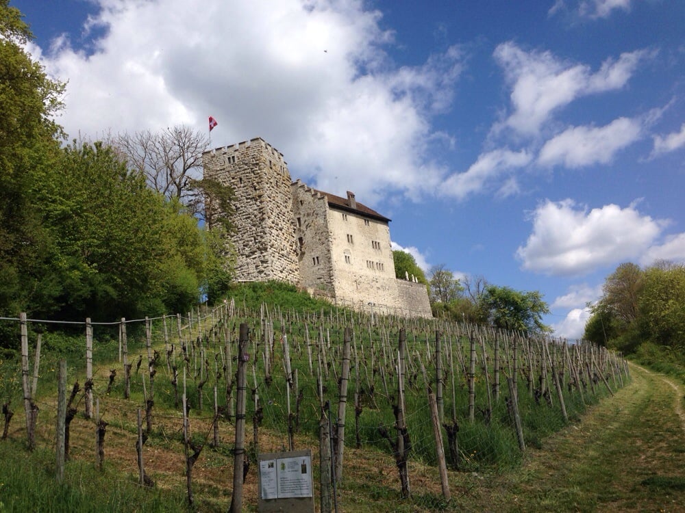 Schloss Habsburg 12 Photos Castles Hauptstrasse 26, Habsburg