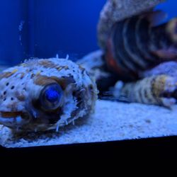 aquarium center 37 photos