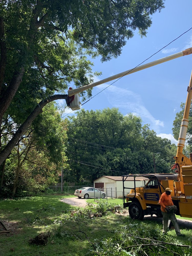 Preacherboy Tree Services