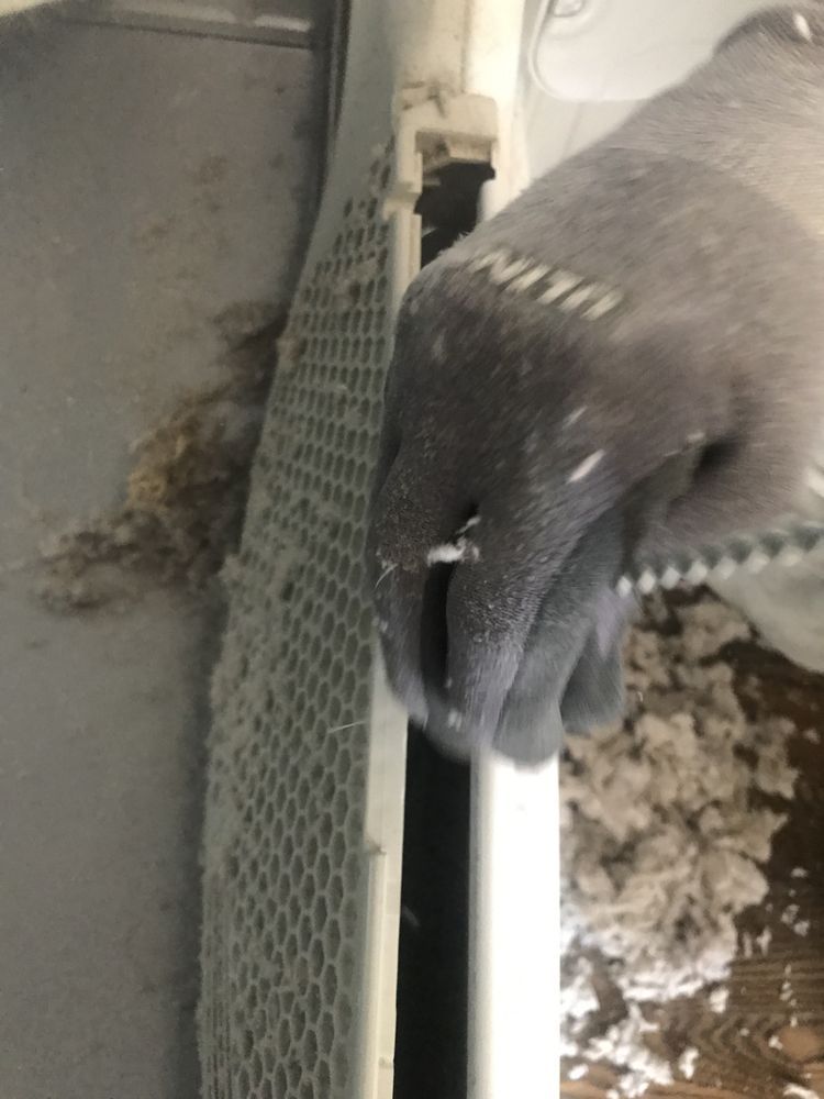Dryer Vent Wizard - West Palm Beach