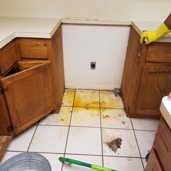 places that need cleaning services