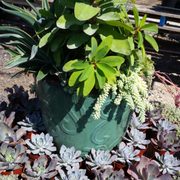 La Vista Nursery 17 Photos Nurseries Gardening 13456 El Photo Of La Vista Nursery Riverside Ca United States