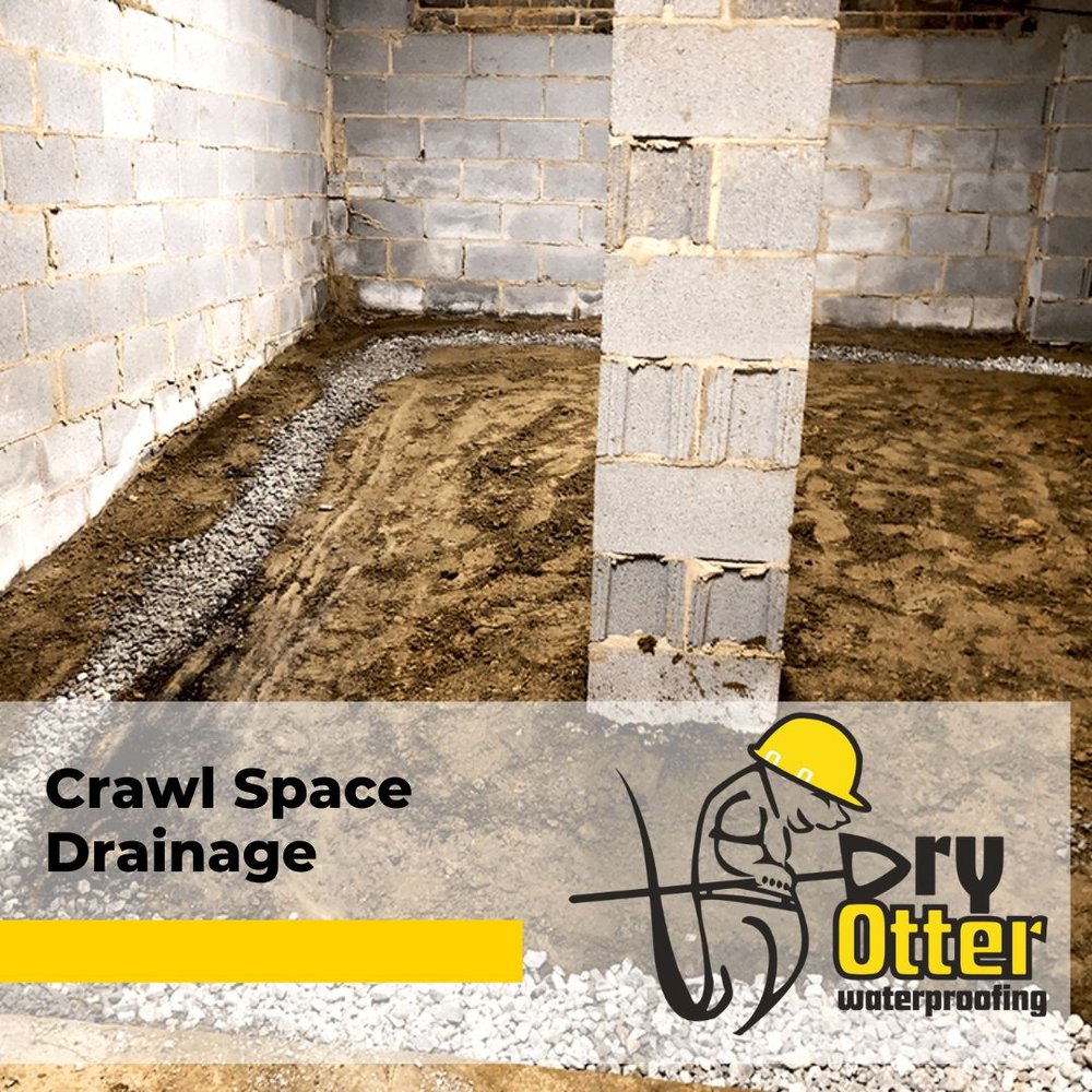 Dry Otter Waterproofing - Charlotte