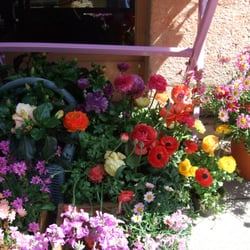 Blumen W. Fritzen - Blumenladen & Florist - Georgenstr. 24 ... Blumen W. Fritzen - Blumenladen & Florist - Georgenstr. 24 ...