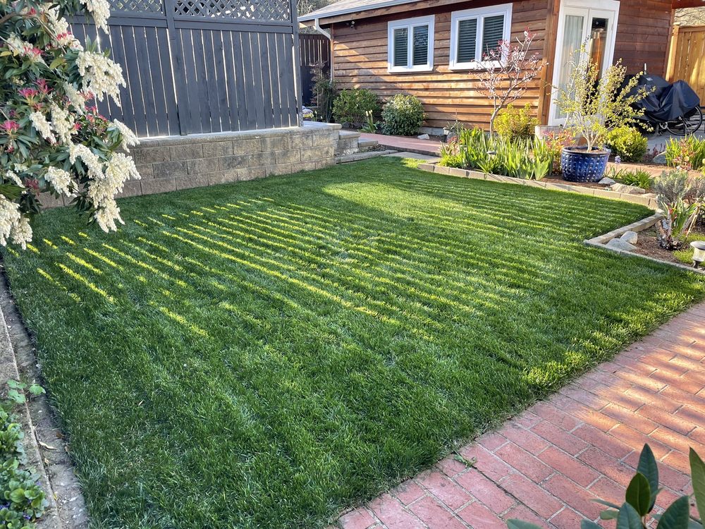 Economy Landscaping