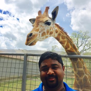 Zoo gentry ar