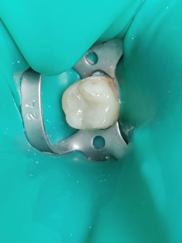 image of business The Happy Tooth