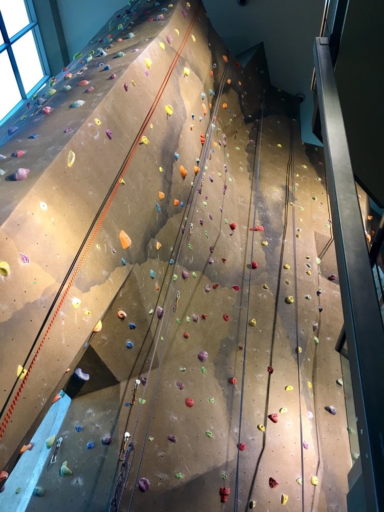 Rock Climbing Wall Lifetime Fitness Fitness And Workout