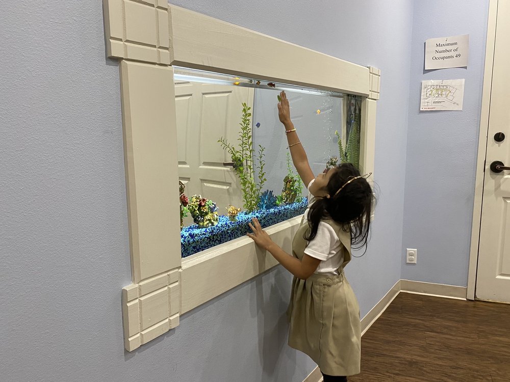 image of business Kiddies