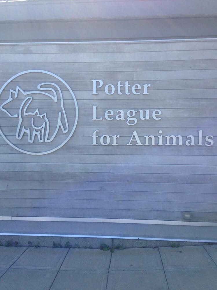 Potter League For Animals 10 Photos & 14 Reviews Animal Shelters