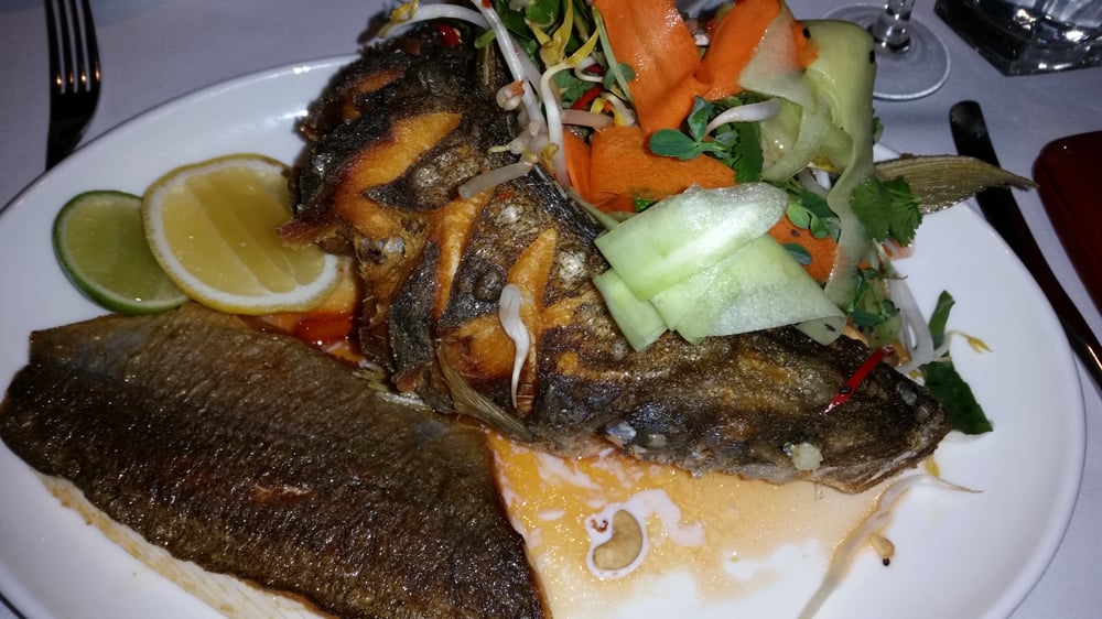 Jellyfish Restaurant 25 Photos & 22 Reviews Seafood CBD