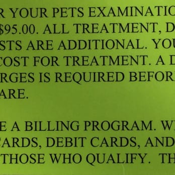 What Kind Of Pain Meds Can I Give My Dog What Kind Of Pain Meds Can I Give My Dog