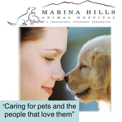 Marina Hills Animal Hospital photo