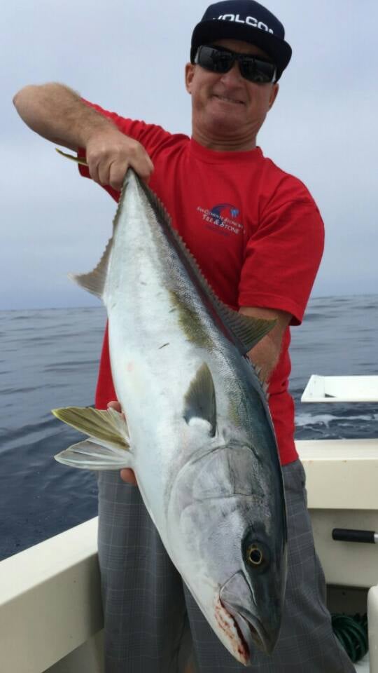 Dana Point Sportfishing 16 Photos Boat Charters 34551 Casitas Pl