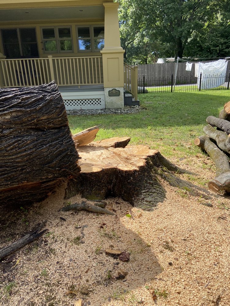 Strobert Tree Services