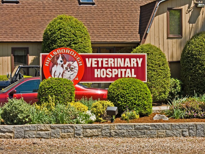Hillsborough County Veterinary Hospital Veterinarians 22 Pine Rd