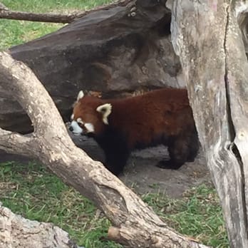 Red River Zoo 81 Photos 18 Reviews Amut Parks 4255 Photo Of Red River Zoo Fargo Nd United States Love The