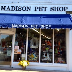 madison pet stores madison pet stores