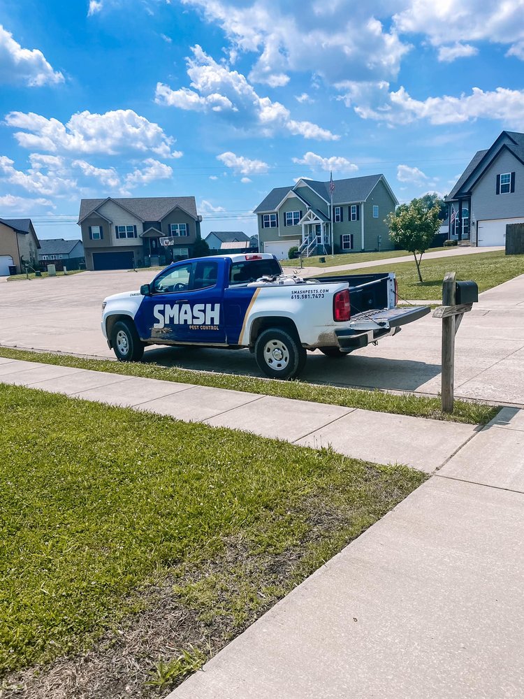 Smash Pest Control