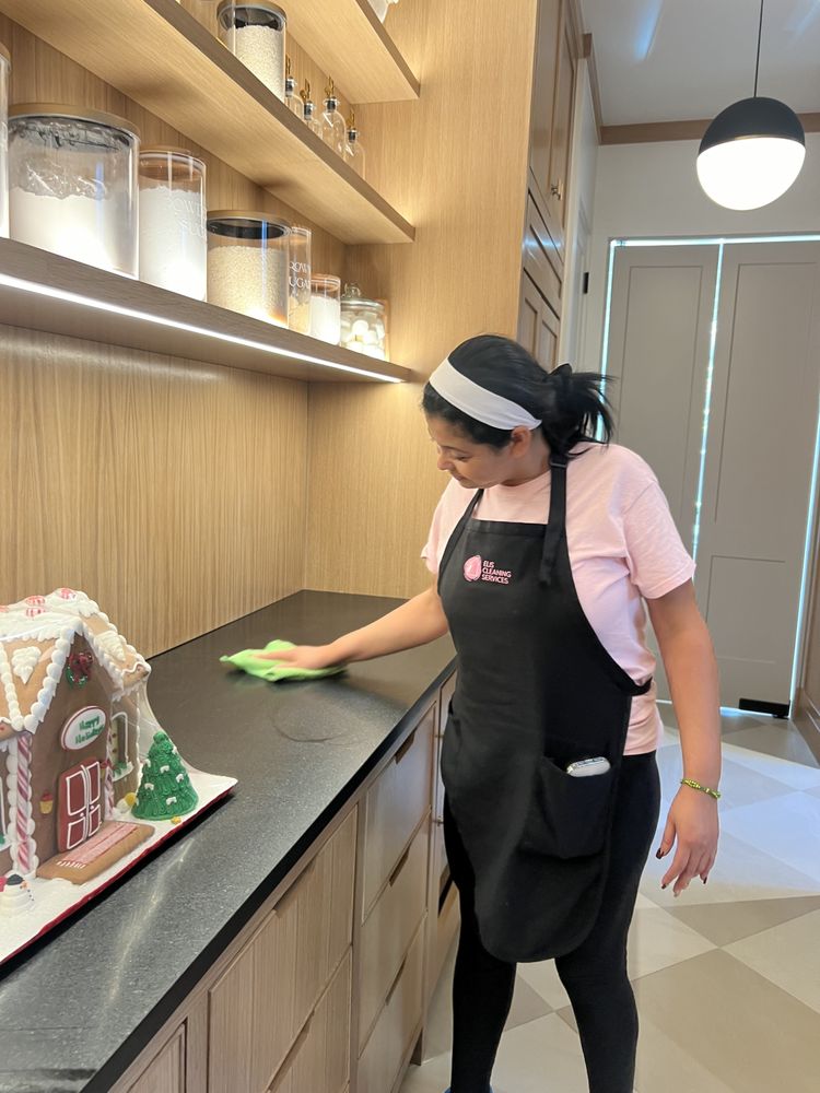 Elis Cleaning Services